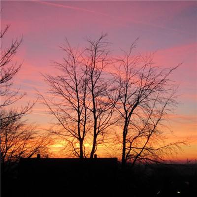 bat365官网登录入口手机app下载